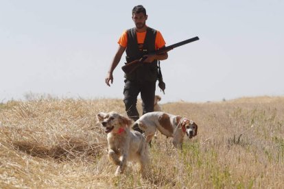 Borja Llamazares fue uno de los cazadores que madrugaron en la primera jornada. En la foto con sus perros Sira, Bimba y Hena. RAMIRO