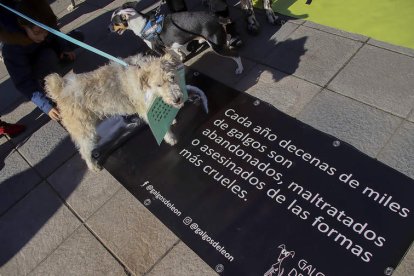 La marcha salió de la plaza de Guzmán ayer al mediodía. J. CASARES