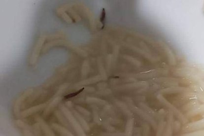 Larvas de gorgojos en la comida de la cafetería del Hospital de León. DL