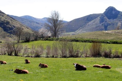 Paisaje en Cabrillanes