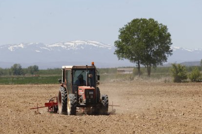 Agricultura en el Páramo. JESÚS F. SALVADORES