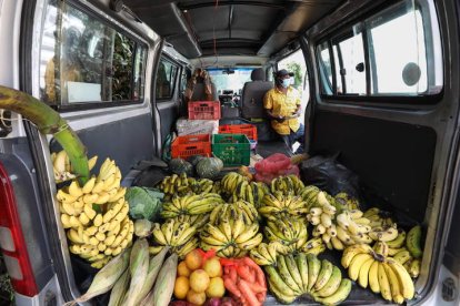 Un guía turístico vende fruta en el vehículo que antes utilizaba para transportar turistas por la selva. DANIEL IRUNGU