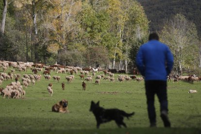 Las compensaciones se harán con carácter retroactivo desde el 21 de septiembre. FERNANDO OTERO