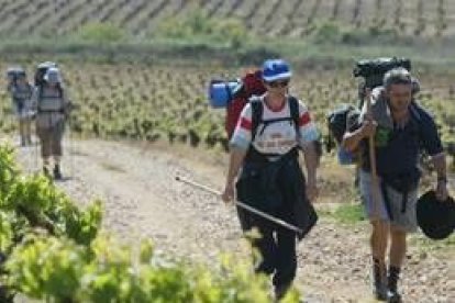 Peregrinos recorriendo el Camino de Santiago por la zona de Cacabelos