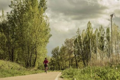 El paseo peatonal y para bicicletas junto al Torío permite darse un baño de naturaleza y vegetación autóctona a escasos kilómetros de León capital. DL