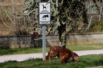 Cartel con la prohibición de dejar perros sueltos en una zona verde de la capital. RAMIRO