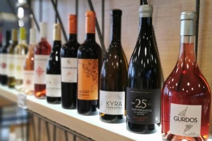 Bodega Gordonzello tiene una variada muestra de vinos. FERNANDO OTERO