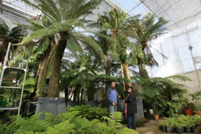 Instalaciones del vivero ubicado en Igüeña para proyectos de la Ciuden, en una foto de archivo. L. DE LA MATA