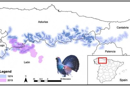 Mapa de la distribución del urogallo cantábrico. IREC