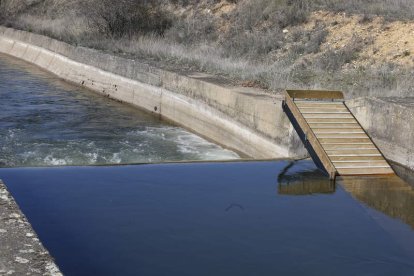 El organismo de cuenca ha instalado la rampa justo antes de un salto de agua. MARCIANO PÉREZ