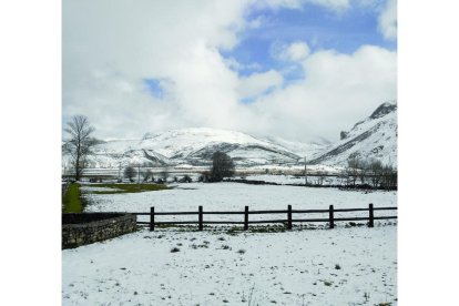 Babia, cubierta de nieve al empezar el calechu.