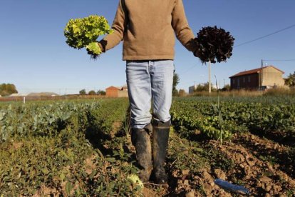 Agricultura ecológica en Matalobos del Páramo.