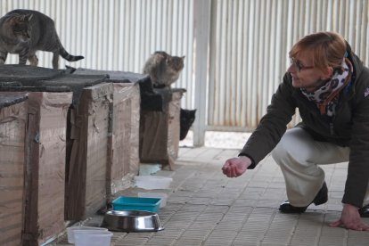 Esperanza Martínez Fernández atiende a uno de los gatos de la colonia que cuida desde hace tiempo. J. NOTARIO