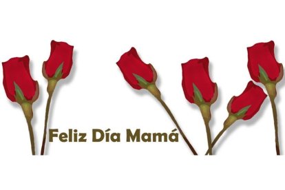 Feliz Día de la Madre 2017.