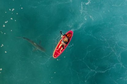 Una fotografía tomada desde un dron muestra un tiburón rondando a una canoa en el Mediterráneo. ABIR SULTAN/EFE