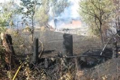 Imagen de las fincas arrasadas por el fuego