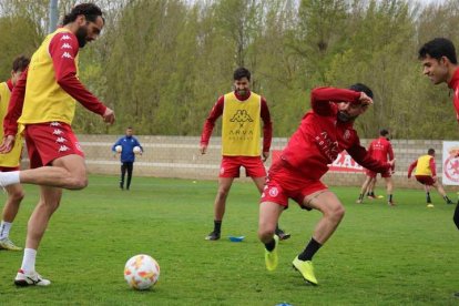 La Cultural prepara a conciencia su ‘final’ contra el Badajoz de este domingo, donde necesita un triunfo para huir del descenso. CYDL