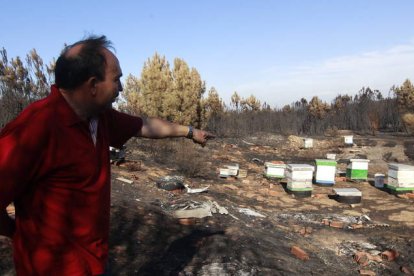 El alcalde, Amador Ares, muestra su colmenar.