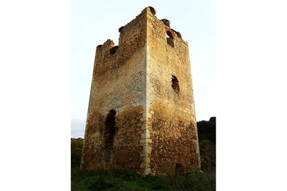 Torreón del castillo de Villapadierna, todo un ejemplo del abandono del patrimonio leonés.