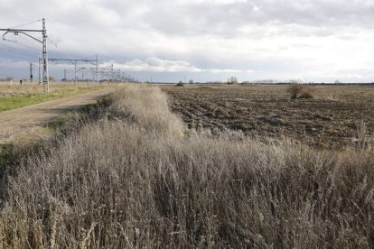 Terrenos en los que se dibuja la ejecución de la plataforma logística intermodal de Torneros. MARCIANO PÉREZ