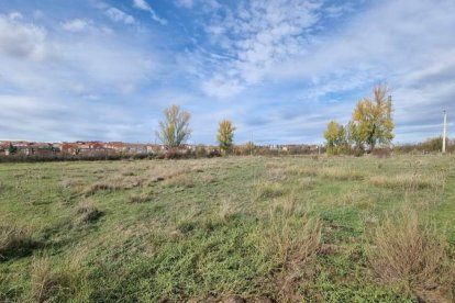 El futuro edificio se levantará en el Camino de los Mancebos, en Navatejera. DL