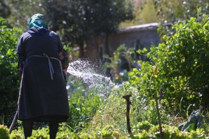 Una mujer riega la huerta de su casa