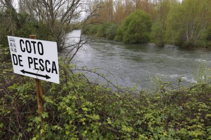 Uno de los muchos cotos de pesca existentes a lo largo y ancho de la geografía leonesa. RAMIRO