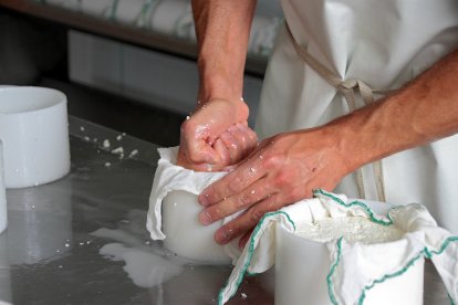 Producción de los quesos de oveja de Javier Manzano, en Barrillos de Curueño. PEIO GARCÍA