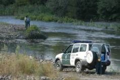 Agentes de la Guardia Civil investigan las causas de la mortandad