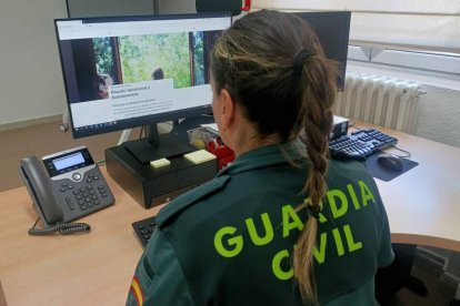 La Guardia Civil alerta sobre las estafas en verano. DL