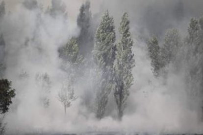 Una imagen del incendio forestal registrado en Quintanilla del Monte el pasado miércoles.