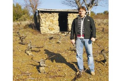 Grégory Pérez en una de las viñas de Espanillo, que ha convertido en referencia de calidad.