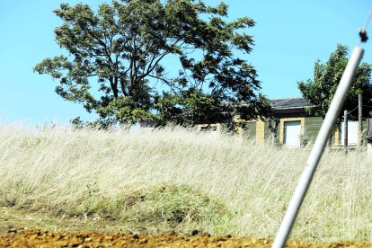 Las parcelas abandonadas, con mucha vegetación seca, hacen temer de nuevo los incendios, favorecidos por las altas temperaturas. J. NOTARIO