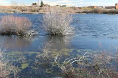 La recuperación de la laguna de Villadangos, situada a 500 metros de la localidad, estará concluida