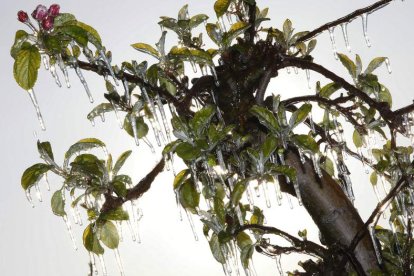 Las heladas y el ambiente gélido volverán a partir del jueves. VIDI PHOTO