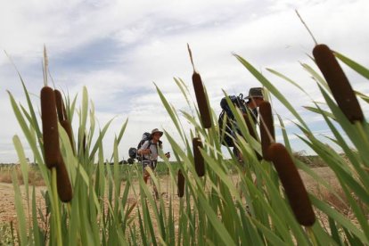 Un peregrino, en el Camino de Santiago a su paso por León