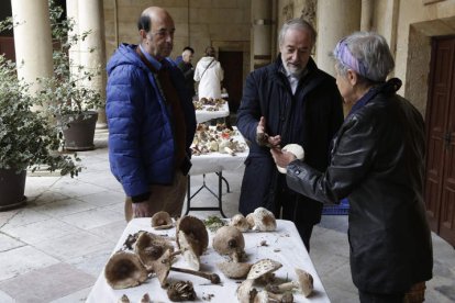 La exposición es un espacio de intercambio de conocimientos sobre las setas. FERNANDO OTERO