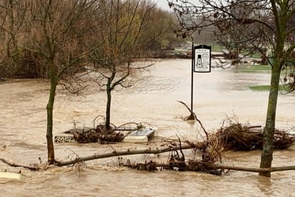 El Bernesga en la zona del Paseo de Salamanca. RAMIRO