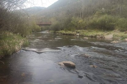 Zona donde se ha proyectado la playa fluvial de Villaseca. ARAUJO