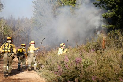 La provincia leonesa solo registra un incendio forestal controlado desde hace días en el municipio de Santa Colomba de Curueño. MARCIANO PÉREZ.