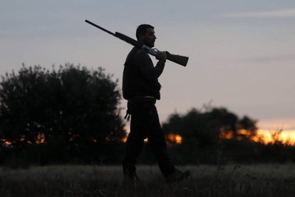 Un cazador en una de las jornadas de actividad de la temporada de caza menor. JESÚS F. SALVADORES