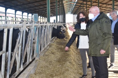 El consejero de Agricultura, Jesús Julio Carnero, visita una explotación ganadera. JCYL