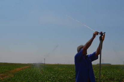 Los agricultores temen que esta falta del último riego merme el rendimiento de sus cosechas. MEDINA