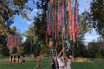 Una de las instalaciones del proyecto artístico ‘Carrizo con Arte’. DL