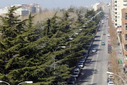 La Avenida de la Facultad.