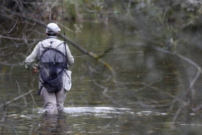 Un pescador en uno de los ríos leoneses en los que la trucha es el pez estrella. FERNANDO OTERO