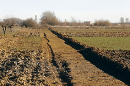 Primeras actuaciones del proyecto realizadas en Santa María de la Isla. FERNANDO OTERO