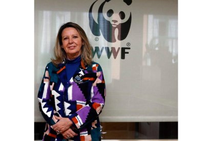 Margarita de Cos trabaja en WWF y es chairwoman en España del Global Summit of Women.