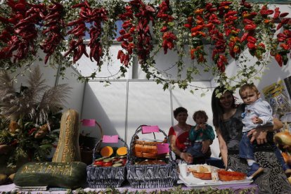 El aeródromo de Chozas de Abajo acogerá mañana la décima edición de una feria que abrirá sus puertas a las 11.30 horas.