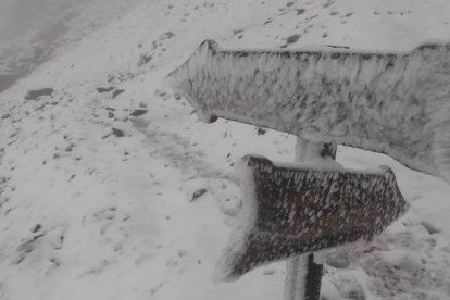 Imagen de la nieve que ha caído en Collado Jermoso